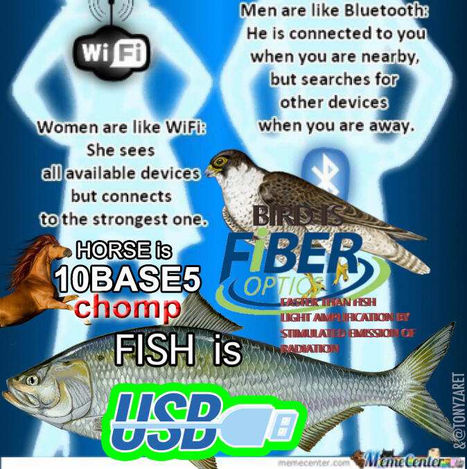 valuable information about network infrastructures and etc.